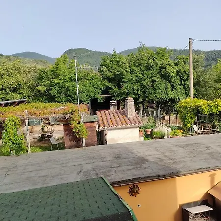 Alba Locazione Turistica